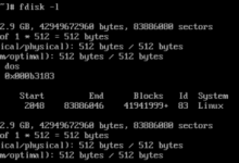 天翼云主机初始化Linux数据盘，解决新装宝塔不显示挂载磁盘。-域名频道资讯站