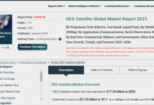 中美GEO大比拼：为什么国内GEO雷声大雨点小？-域名频道资讯站
